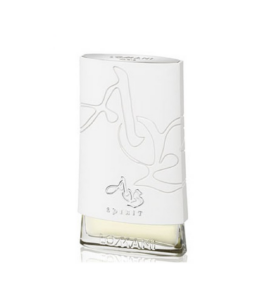 ادو تویلت مردانه لومانی مدل AB Spirit Silver حجم 100 میلی لیتر