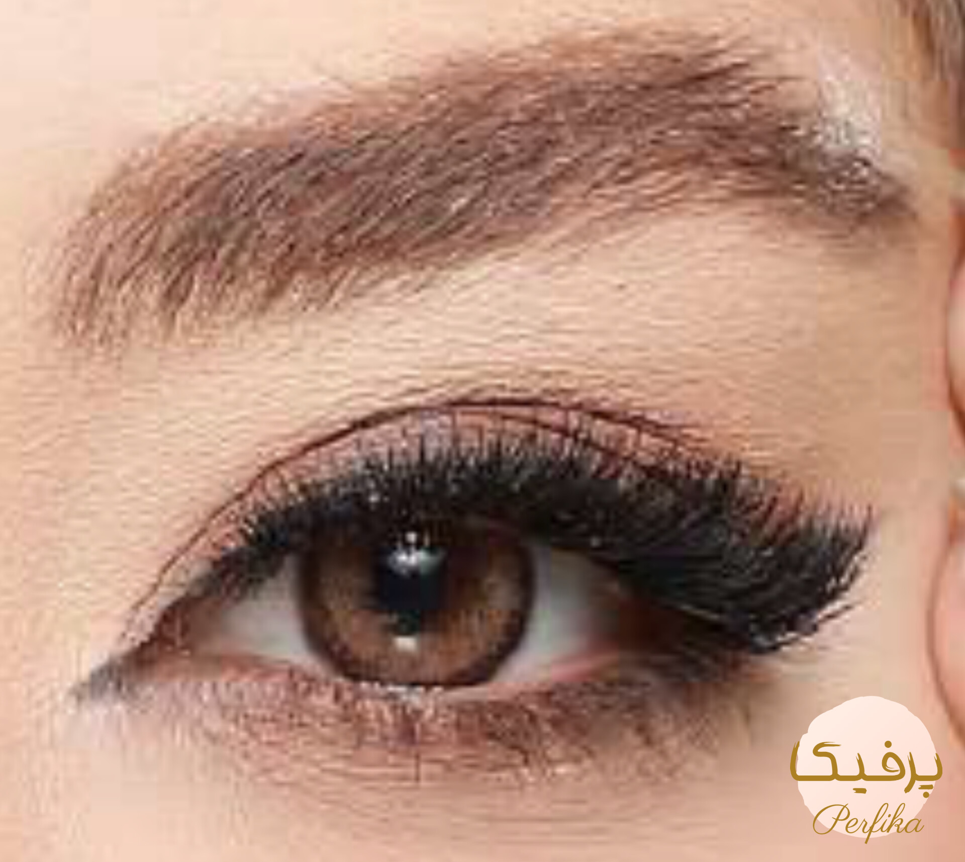 لنز چشم بیوتی شماره 22کد مدل AJA220 رنگ قهوه ای شکلاتی روشن