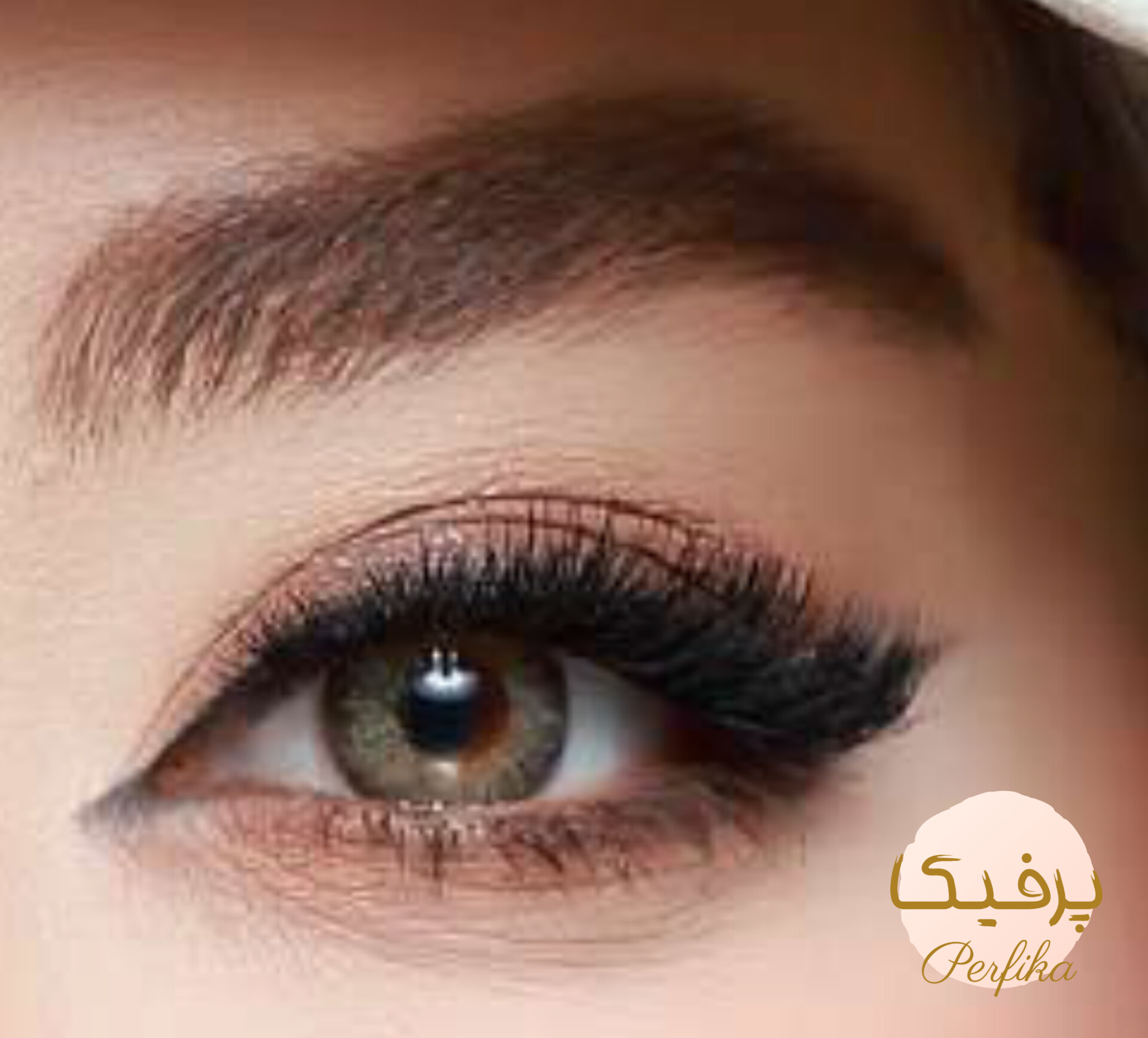 لنز رنگی بیوتی شماره 25 مدل EPC390 دور دار و رگه دار زیتونی عسلی
