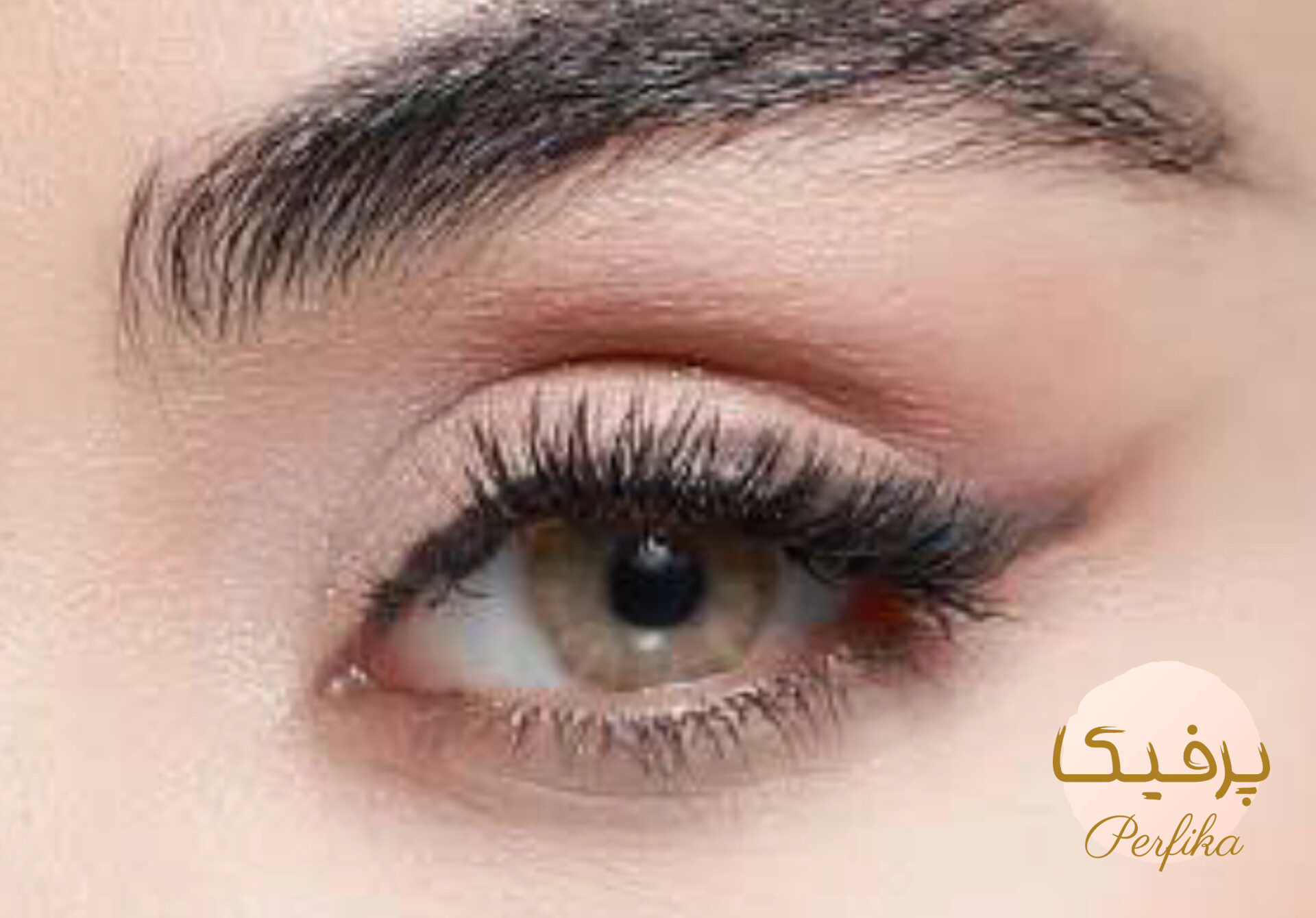 لنز چشم بیوتی شماره ۲۶ مدل HJ320 رنگ قهوهای شکلاتی