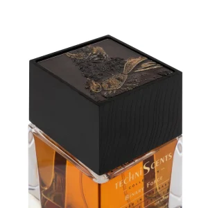 ادوپرفیوم مردانه رلیک مدل Techni Scents Binary Force با رایحه گرم حجم 100 میلی‌لیتر - تصویر 2