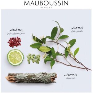 ادو پرفیوم مردانه مابوسین مدل Discovery حجم 100 میلی لیتر | Mauboussin Discovery Eau De Parfum For man 100 ml - تصویر 4