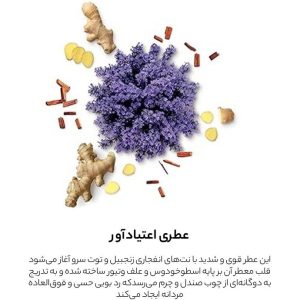 عطر مردانه مابوسین مدل پور لویی این رد حجم 100 میل - تصویر 3